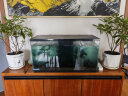 喜高超白玻璃鱼缸智能鱼缸免换水小型客厅水族箱一体式过滤氧气鱼缸 黑色-鱼缸+造景 600*260*330mm 晒单实拍图
