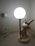凡丁堡（FANDBO）兔子台灯卧室床头灯儿童房可爱书桌装饰摆件创意结婚生日礼物 奶白色台灯 （乳白灯罩）+三色变光 实拍图