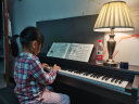 艾茉森（Amason）珠江钢琴 考级电钢琴88键重锤数码电子钢琴专业成人儿童AP230 实拍图