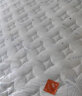 喜临门三重防螨 高纯乳胶独袋弹簧床垫 3D椰棕床垫 蝶梦Dream 1.8米*2米 晒单实拍图