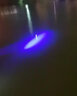 阿卢a62鲫鱼漂轻口芦苇浮漂醒目高灵敏度行程枣核型黑坑鱼漂野钓浮标 LPA62芦苇本色15目细尾 4号一支(吃铅约1.67克) 实拍图