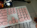 雷迪凯  机械手感键盘可爱女生 键盘鼠标有线套装 台式笔记本电脑办公键鼠套装 USB复古朋克键盘 单键盘-少女粉色 实拍图