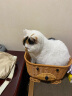 麦富迪（Myfoodie） 猫粮藻趣儿美毛冻干成猫粮9kg 实拍图