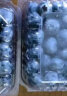 觅鲜探长国产云南新鲜大蓝莓当季蓝莓水果生鲜非怡颗 单果14mm以下 2盒装 125g /盒 晒单实拍图