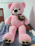 欣欣龙毛绒玩具大熊泰迪熊公仔布娃娃玩偶抱枕送女友情人节礼物 围巾熊粉色 1.2米【+玫瑰花】 实拍图