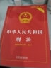 2024新版 中华人民共和国刑法 实用版 2023年全新修订版 第十版 根据刑法修正案十二修改 案例解读 司法解释 刑法典 刑法一本通 刑法注释书 中国法制出版社 9787521634334 实拍图