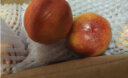 城南堡花 山东蒙阴油桃 黄肉桃子 新鲜水果脆甜 油桃精品果2.5kg 实拍图