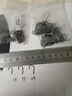伊势尼鱼钩散装伊豆正品有倒刺鱼钩爆炸钩鲫鱼钩草鲤鱼钩渔具用品 7号 100枚 实拍图