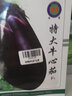寿禾 长茄杭茄种子大全蔬菜紫线茄秋冬季盆栽寿光茄子菜籽 特大牛心茄种子 10g 实拍图