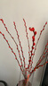 雪柳干枝水插花水培鲜花室内遇水开花客厅阳台观花绿植雪柳花鲜枝水养年宵花卉植物 银柳10支60厘米高 不含瓶 实拍图
