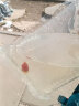 AIPHAROW精品丹顶红 鹤顶红金鱼活体观赏鱼活体 冷水鱼 鸿运当头 招财金鱼 鸿运当头3-4CM1条装 实拍图