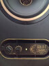 天朗GOLD音箱 5/7/8二分频专业有源监听音箱HiFi编曲混音录棚室音 响 GOLD 7一对 线+垫子+落地支架 实拍图