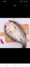 仙泉湖三去白蕉海鲈鱼 400g*1条净膛冷冻刺少肉厚地标特产海鲜水产 实拍图
