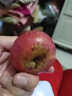 智田喜四川大凉山盐源丑苹果冰糖心脆甜红富士时令新鲜水果孕妇小孩可吃 丑苹果净重5斤/单果60-70mm 实拍图
