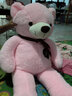 公主熊毛绒玩具泰迪熊公仔抱抱熊大号熊猫娃娃女孩生日礼物送女友情人节 粉红色 1米 实拍图