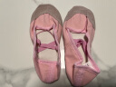驰动儿童舞蹈鞋软底练功鞋女童猫爪鞋男童跳舞瑜伽女芭蕾舞鞋粉色34码 实拍图