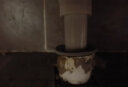 海立F50厨房下水道防臭神器封口器卫生间洗衣机下水管防溢水密封塞圈 实拍图