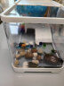 阔庭乌龟缸桌面透明生态乌龟缸乌客厅水族箱白色 晒单实拍图