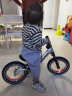 飞鸽 (PIGEON) 儿童平衡车自行车滑步车幼儿男女宝宝车小孩滑行车两轮无脚踏车童车滑行单车辐条轮银色 实拍图
