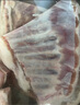 羊小柒 宁夏滩羊肉 生鲜 国产草原羔羊排新鲜羊肋排烧烤火锅食材清真 羔羊肋排1000g 实拍图