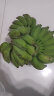 NANGUOXIANSHENG广西小米蕉 糯米蕉 西贡蕉 新鲜香蕉 生鲜水果 5斤 晒单实拍图