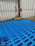 憨憨宠 猫狗笼脚垫板 狗舍防滑卡脚垫板网格可拼接加厚散热板（单片装） 长宽为73*46cm 蓝色 实拍图