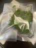 森渊（SENYUAN） 鱼缸前景草水草活体趴地爬地矮珍珠挖耳牛毛毡迷你矮天湖葵 水下叶爬地矮珍珠1份 实拍图