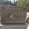 登进通用汽车坐垫防滑加厚冬季毛绒冬天毛绒加厚保暖防寒轿车载座垫 实拍图