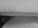 富安娜枕头芯纯棉软枕芯五星级酒店枕头一对装纤维枕中枕两个74*48cm 实拍图