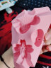 嘉德朗 棒棒糖模具纸棒包装袋手工自制diy巧克力qq糖果材料硅胶奶酪棒模具带盖 樱花蝴蝶【带盖和包装】 实拍图