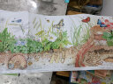 科普百科海洋太阳系昆虫花草·手绘自然长卷书（全3册）单册2米全彩 3-6岁7-14岁 实拍图