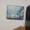 Sixpoetry电表箱装饰画免打孔北欧配电箱壁画电闸总开关电表盒遮挡画挂画 BOD-16 40*30(容纳横长30*竖高20)悬挂式 实拍图