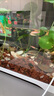 森森（SUNSUN）鱼缸水族箱超白玻璃水草缸造景桌面缸 超白350裸缸(35*21*25cm) 实拍图