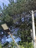 亚明照明led路灯头新农村路灯工厂户外防水220v市政挑臂电线杆小区道路灯 60W（单路灯头）LED白光 实拍图