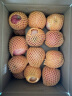 京鲜生 陕西洛川红富士苹果 净重5kg 单果200-260g 新鲜水果 实拍图