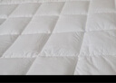 拉芙菲尔Care+舒睡可水洗床垫棉花床垫床褥学生宿舍床垫弹弹垫单人双人透 立高3cm 150*200cm 实拍图