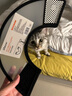 普安特伊丽莎白圈宠物猫咪头套防舔咬狗狗项圈伊利沙白脖圈 7号宠物围脖15-18cm 实拍图