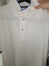 佐丹奴Polo衫男士蜂巢网眼珠地布男翻领上衣polo衫男短袖01011425 实拍图