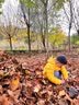 亚瑟士童装2024冬季男女中大童休闲连帽轻薄羽绒服外套舒适334241073075 实拍图
