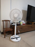 西哲（sezze）日本空气循环扇家用电风扇直流变频落地扇360°摇头节能果岭风扇遥控节能台立两用扇轻音扇涡轮扇 Y-268GN（祖母绿） 实拍图