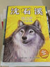 动物小说大王沈石溪·狼王梦3：王者之魂（注音读本） 实拍图