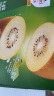 佳沛（zespri）新西兰阳光金奇异果18粒礼盒优选果单果约103-124g水果猕猴桃 实拍图