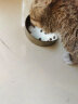 麦富迪（Myfoodie）猫粮 冻干鲜粮牛肉鸡肉全期猫粮 150g 实拍图