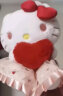 凯蒂猫（hellokitty）三丽鸥怦然心动系列凯蒂猫毛绒玩具网红KT公仔可爱娃娃生日六一儿童情人节礼物 晒单实拍图