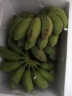 帆儿庄园新鲜广西小香蕉水果小米蕉蕉新鲜水果整箱当季鲜苹果蕉自然熟粉蕉 4.5kg 晒单实拍图