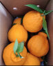 京鲜生 四川不知火丑橘4.5-5斤 单果70-75mm 水果礼盒 源头直发 包邮 实拍图