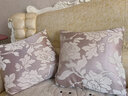 思篇欧式奢华提花沙发抱枕加厚布艺客厅靠垫套大号床头靠背办公室腰枕 灰紫工字(雪尼尔提花) 50*50cm抱枕套+枕芯 实拍图