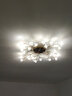 灯强 北欧风格灯具LED主卧室灯轻奢客厅大灯温馨浪漫花朵水晶吸顶灯 金色-24头-直径84cm三色变光 实拍图