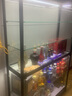 欣雪手办展示柜礼品货架防尘小型家用透明玻璃柜玩具展示架产品乐高柜 120*35*180含玻璃 实拍图