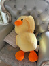 网红同款抖音跳舞小黄鸭大黄鸭毛绒玩具公仔布娃娃玩偶睡觉抱枕送女生女友520七夕情人节节生日礼物礼品 如图 80厘米【送30厘米小黄鸭】 实拍图